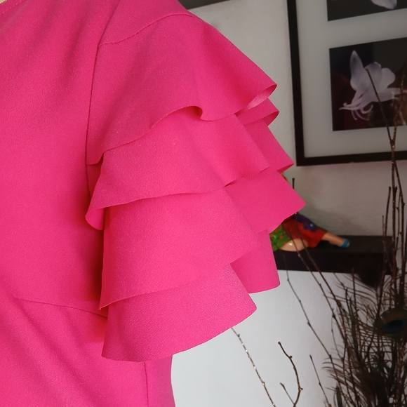 🌸 Tiziano Zorzan Pink Dress – Size 44 (US Medium) 🌸 - Picture 9 of 16